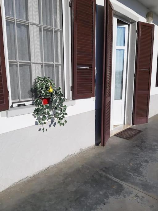 Casa Bruna San Martino Alfieri ภายนอก รูปภาพ